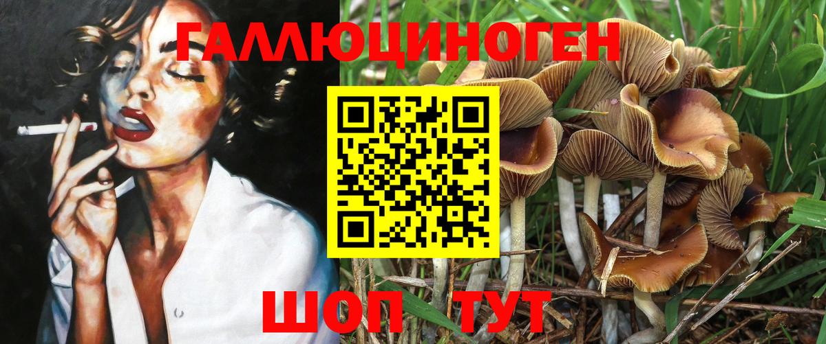 Псилоцибиновые грибы ЛСД Малгобек