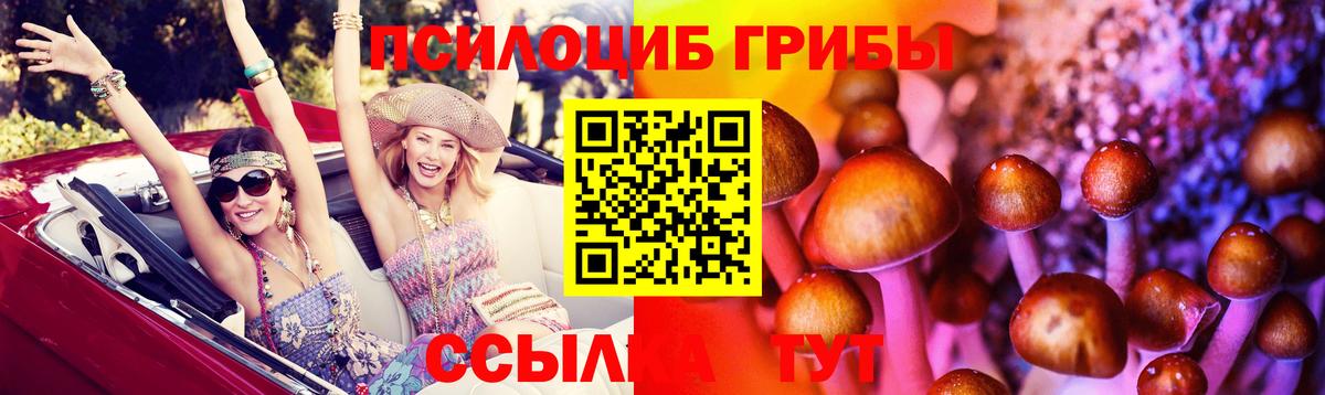 Псилоцибиновые грибы мухоморы  Галлюциногенные грибы Cubensis  Малгобек  Вход с VPN 